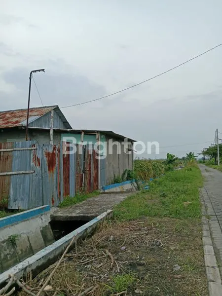 GUDANG EX KANDANG AYAM