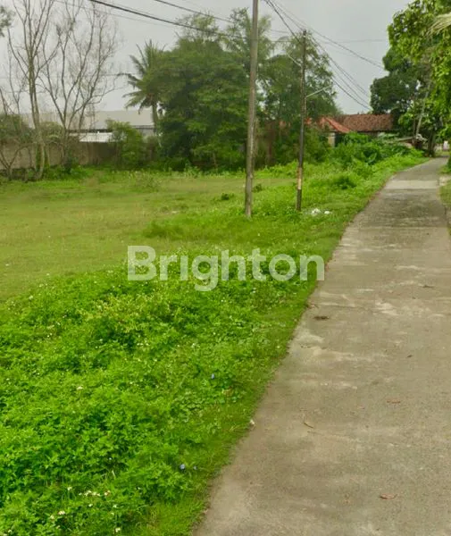 image TANAH MURAH INDUSTRI CIKANDE SERANG BANTEN (4)