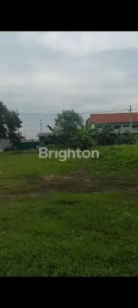 image TANAH DI PRAMBON SIDOARJO (4)