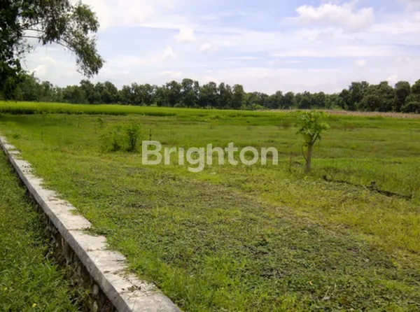 TANAH STRATEGIS DI JL RAYA NGAWI CARUBAN