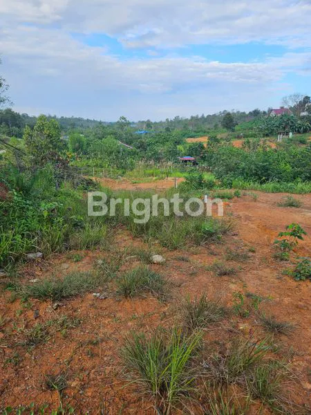 image TANAH MASUK DEPAN POLDA KALTIM (1)