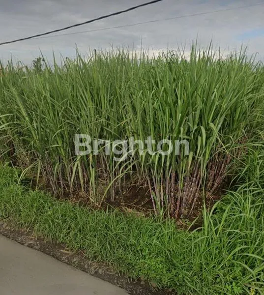 image TANAH KABUPATEN MALANG - PAKIS (1)