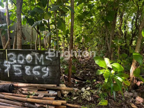image NEGO KERAS TANAH DI NUSA DUA (1)