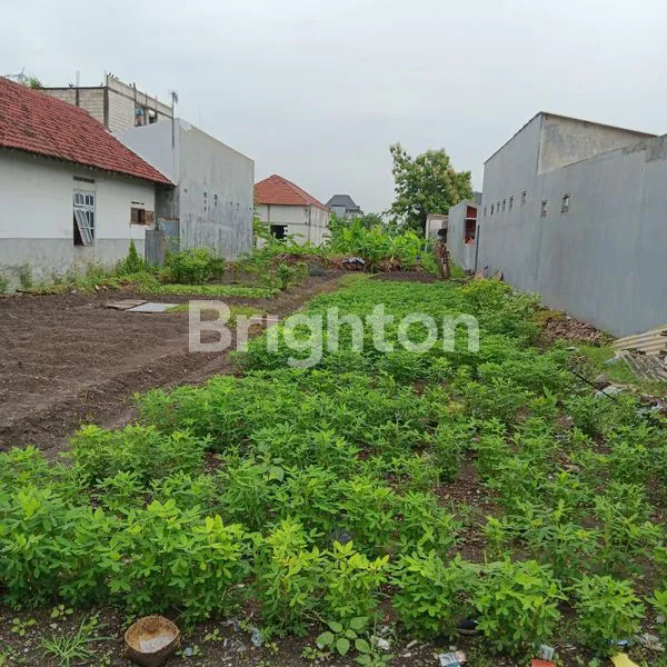 image DIJUAL TANAH SHM ENTAL SEWU AREA CITRA GARDEN SIDOARJO (4)