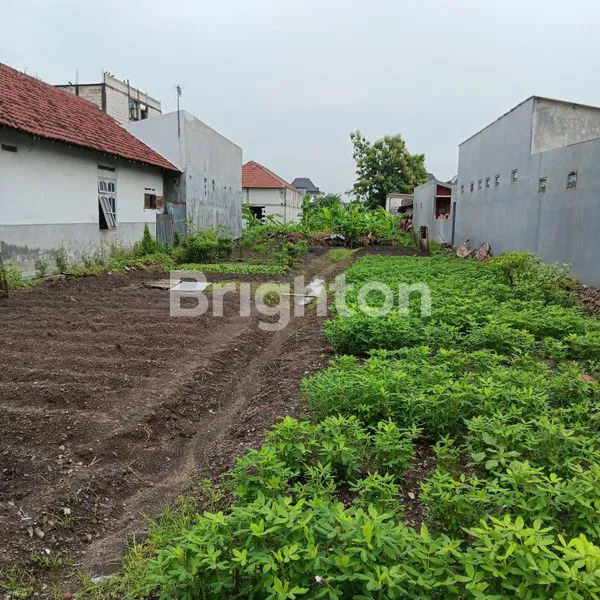 image DIJUAL TANAH SHM ENTAL SEWU AREA CITRA GARDEN SIDOARJO (3)