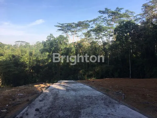 image DIJUAL TANAH KAVLING DI GIANYAR LOKASI STRATEGIS DEKAT PUSAT KOTA GIANYAR  UNTUK DIBANGUN VILLA DAN RUMAH PRIBADI (3)