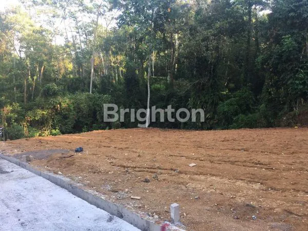 image DIJUAL TANAH KAVLING DI GIANYAR LOKASI STRATEGIS DEKAT PUSAT KOTA GIANYAR  UNTUK DIBANGUN VILLA DAN RUMAH PRIBADI (2)
