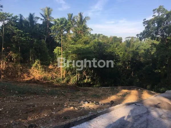 image DIJUAL TANAH KAVLING DI GIANYAR LOKASI STRATEGIS DEKAT PUSAT KOTA GIANYAR  UNTUK DIBANGUN VILLA DAN RUMAH PRIBADI (4)