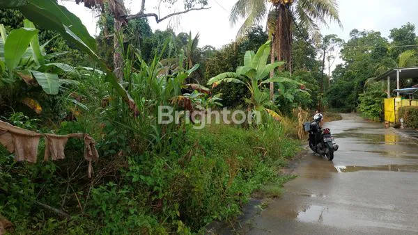 image TANAH DATAR 6000M² JALAN SURYANATA, IDEAL UNTUK PROPERTI KOMERSIAL (3)