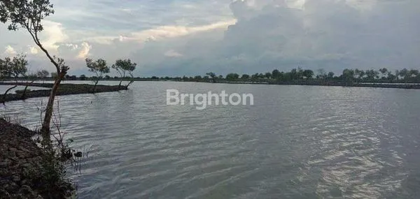 image TANAH TAMBAK AKTIF DI KOTA GRESIK (5)
