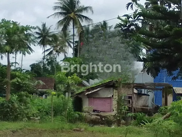 image TANAH PAKIS JL RAYA UTAMA (1)