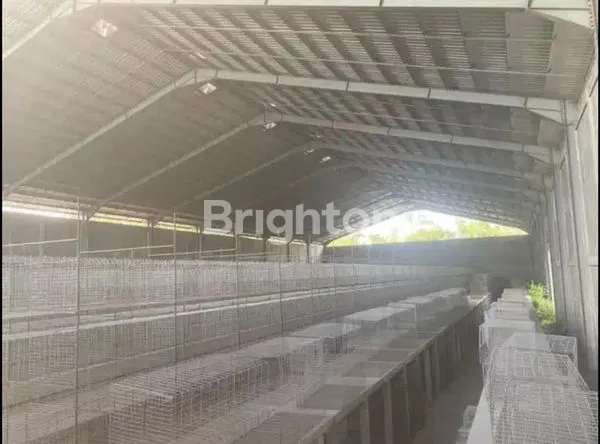 image GUDANG SIAP PAKAI DI TALUN - BLITAR (4)