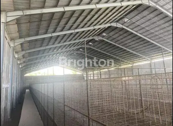 image GUDANG SIAP PAKAI DI TALUN - BLITAR (2)