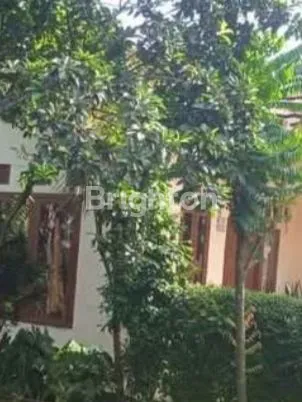 image RUMAH DIJUAL, DI TANAH SAREAL, KP RAWA TAMAN, JL. KP. KENCANA., JL. SOLEH ISKANDAR BOGOR.  (2)