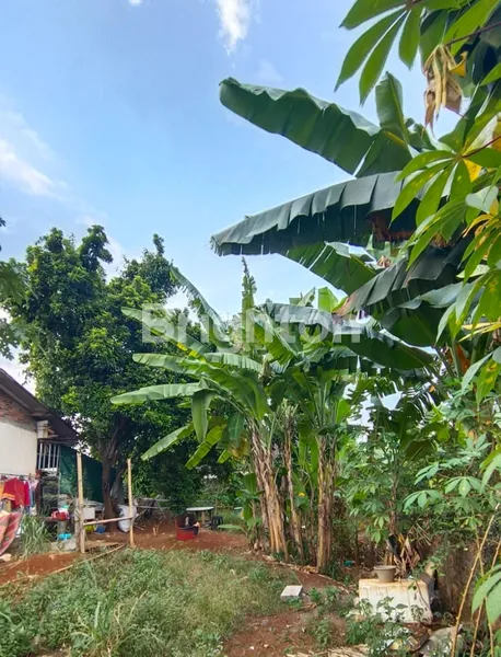 image KAVLING DEKAT GERBANG TOL PAMULANG (3)