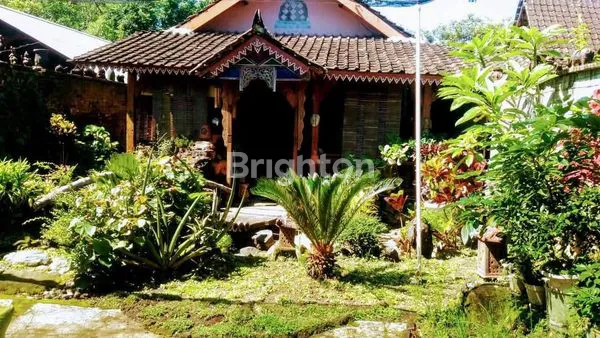 image GUEST HOUSE SIAP HUNI DI BOROBUDUR MAGELANG (2)