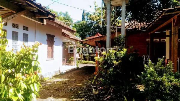 image GUEST HOUSE SIAP HUNI DI BOROBUDUR MAGELANG (3)