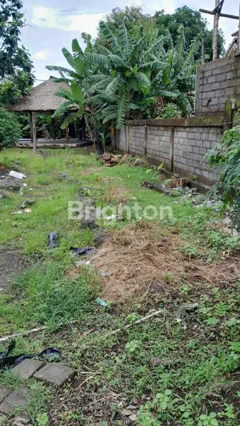 image TANAH PREMIUM DI DAERAH PARIWISATA PERERENAN CANGGU BALI (1)