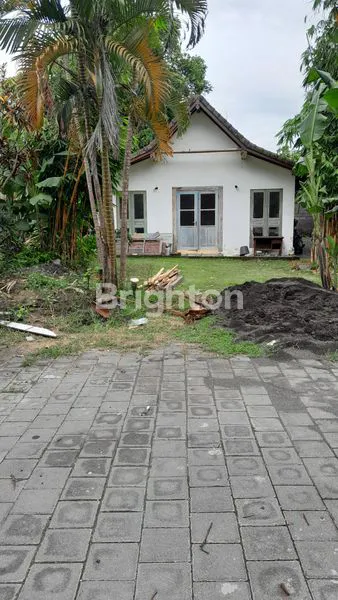 image TANAH PREMIUM DI DAERAH PARIWISATA PERERENAN CANGGU BALI (6)