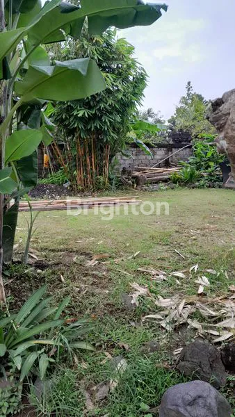 image TANAH PREMIUM DI DAERAH PARIWISATA PERERENAN CANGGU BALI (7)