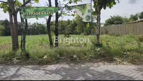 image DIJUAL GUDANG DRIYOREJO GRESIK (3)