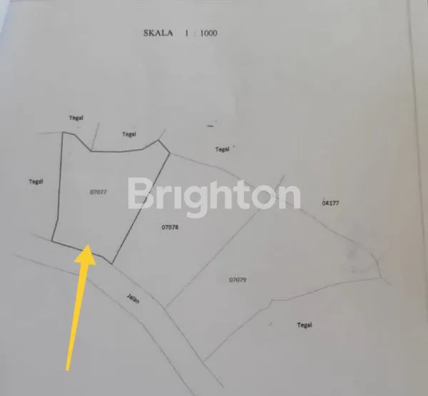 image TANAH DI GUNUNG KIDUL (6)