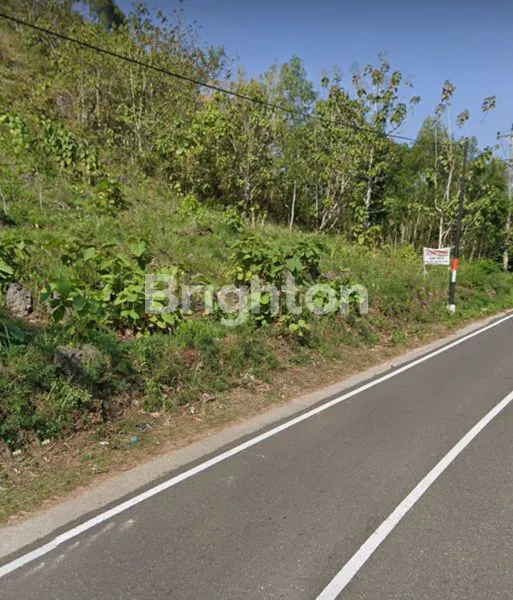 image TANAH DI GUNUNG KIDUL (2)