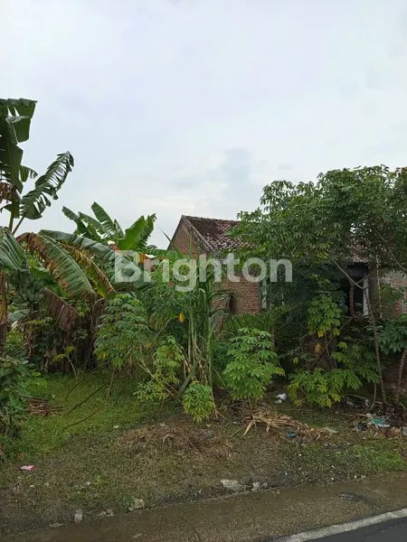 TANAH STRATEGIS DI PINGGIR JALAN DEKAT PERUMAHAN DAERAH PLESUNGAN KARANGANYAR
