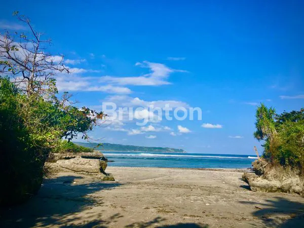 image INVESTASI SURGA 1.9 HA TEPI PANTAI KEREWE SUMBA LAMBOYA (2)