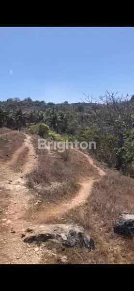 image INVESTASI SURGA 1.9 HA TEPI PANTAI KEREWE SUMBA LAMBOYA (6)