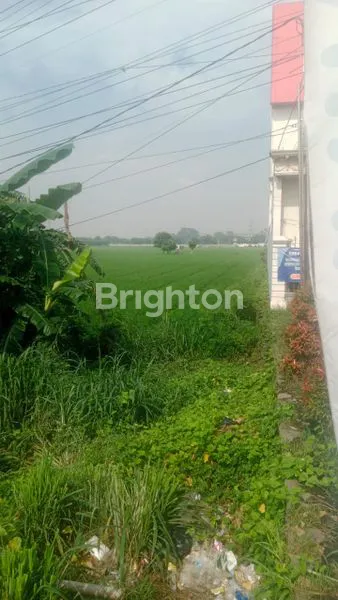 image JUAL TANAH MAINROAD PROVINSI INTERCHANCE KARAWANG BARAT (3)