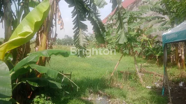 image JUAL TANAH MAINROAD PROVINSI INTERCHANCE KARAWANG BARAT (4)