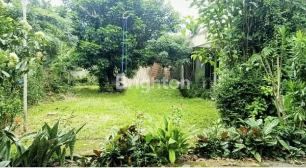 image TANAH LUAS BONUS RUMAH DI LOKASI PREMIUM PAJAJARAN BOGOR (1)