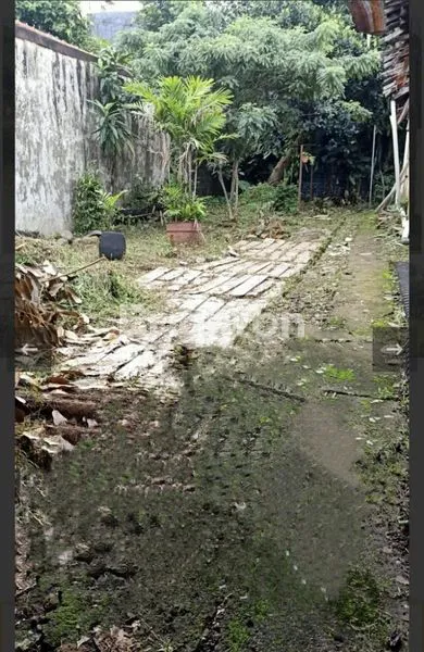 image TANAH LUAS BONUS RUMAH DI LOKASI PREMIUM PAJAJARAN BOGOR (3)