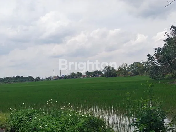 image JUAL TANAH LOKASI TARIK SIDOARJO, COCOK UNTUK BANGUN PERUMAHAN/GUDANG, DEKAT DENGAN PABRIK CIWI KIMIA JUGA BEBERAPA PABRIK LAINNYA (3)