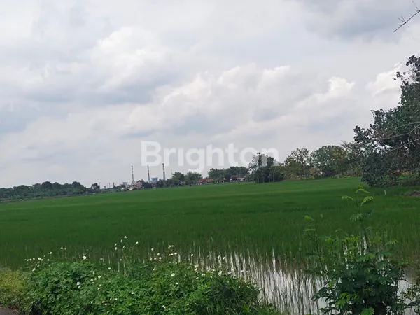 image JUAL TANAH LOKASI TARIK SIDOARJO, COCOK UNTUK BANGUN PERUMAHAN/GUDANG, DEKAT DENGAN PABRIK CIWI KIMIA JUGA BEBERAPA PABRIK LAINNYA (2)