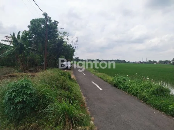 image JUAL TANAH LOKASI TARIK SIDOARJO, COCOK UNTUK BANGUN PERUMAHAN/GUDANG, DEKAT DENGAN PABRIK CIWI KIMIA JUGA BEBERAPA PABRIK LAINNYA (7)