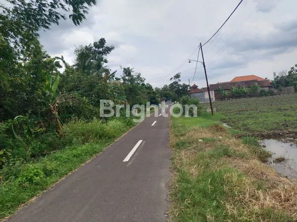 image JUAL TANAH LOKASI TARIK SIDOARJO, COCOK UNTUK BANGUN PERUMAHAN/GUDANG, DEKAT DENGAN PABRIK CIWI KIMIA JUGA BEBERAPA PABRIK LAINNYA (6)