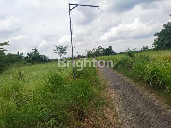 image JUAL TANAH LOKASI TARIK SIDOARJO, COCOK UNTUK BANGUN PERUMAHAN/GUDANG, DEKAT DENGAN PABRIK CIWI KIMIA JUGA BEBERAPA PABRIK LAINNYA (4)