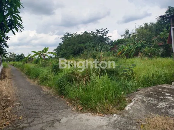 JUAL TANAH LOKASI TARIK SIDOARJO, COCOK UNTUK BANGUN PERUMAHAN/GUDANG, DEKAT DENGAN PABRIK CIWI KIMIA JUGA BEBERAPA PABRIK LAINNYA