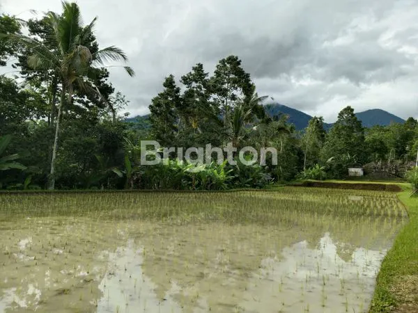 image TANAH DEKAT JATILUWIH PENEBEL TABANAN (2)
