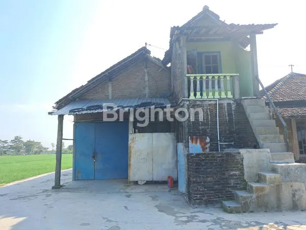 image SELEPAN HITUNG TANAH DI KEBAKKRAMAT KARANGANYAR (7)