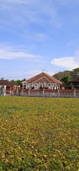 image RUMAH VILLA CANTIK DI PUSAT WISATA LOVINA, SINGARAJA (1)