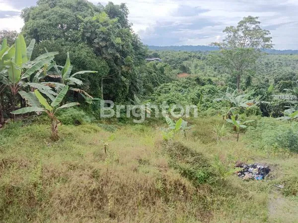 image TANAH DEKAT TERMINAL SANGATTA (1)