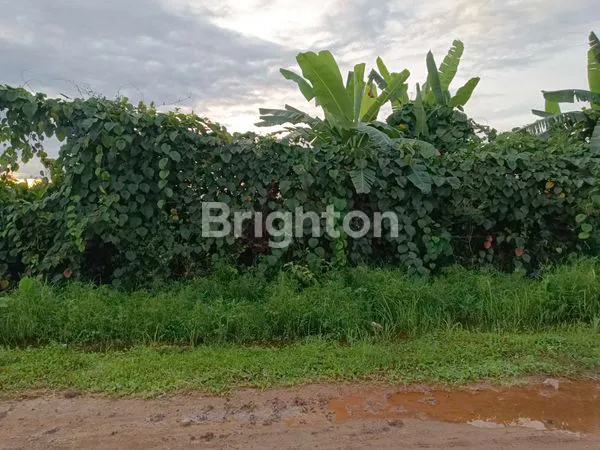 image TANAH UNTUK GUDANG SANGATTA (1)