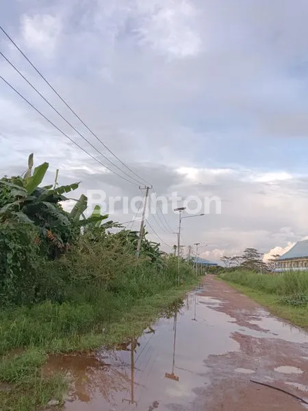 image TANAH UNTUK GUDANG SANGATTA (2)