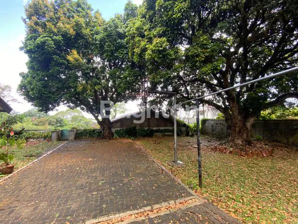 image RUMAH TEMPO DULU DENGAN KEBUN YANG LUAS (6)