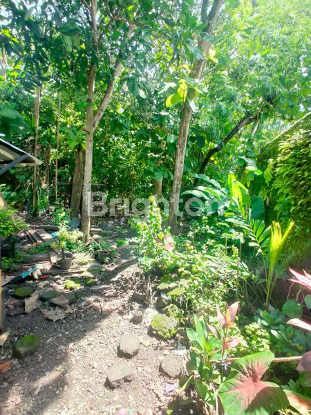 image TOKO GUDANG SAMBI BOYOLALI (8)