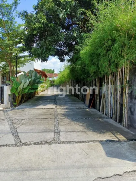 image RUMAH USAHA LUAS 830 STRATEGIS DI PUSAT KOTA MATARAM, LOMBOK  (3)