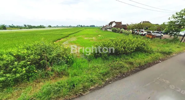 image TANAH POROS JL WIJAYA KUSUMA PAKIS MALANG (1)